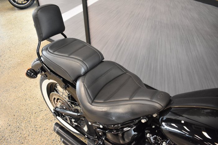 2020 HARLEY-DAVIDSON FLSL SOFTAIL SLIM (107)