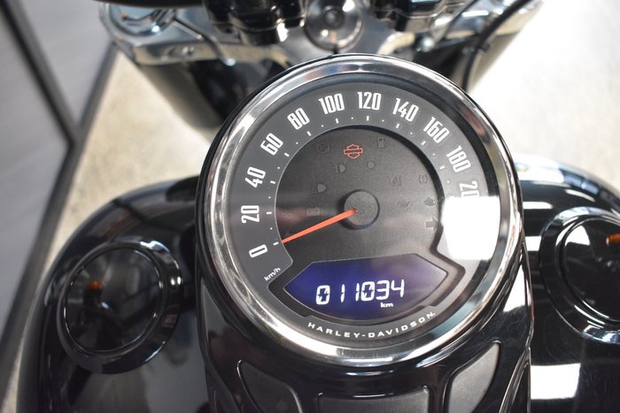 2020 HARLEY-DAVIDSON FLSL SOFTAIL SLIM (107)