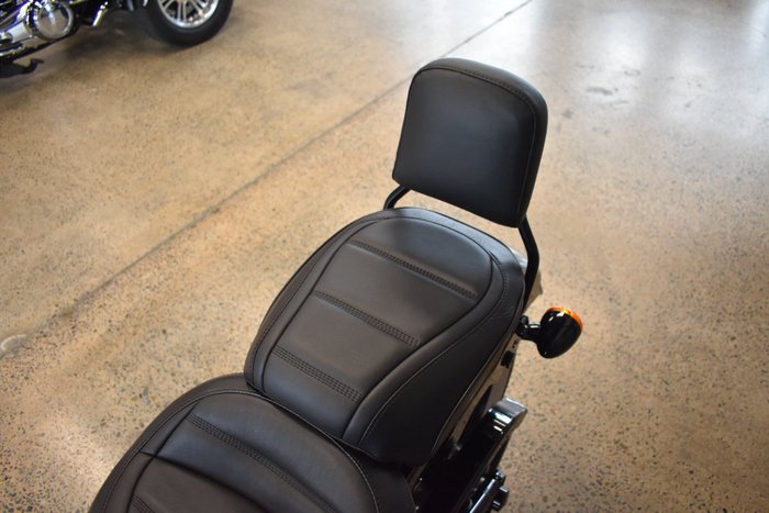 2020 HARLEY-DAVIDSON FLSL SOFTAIL SLIM (107)