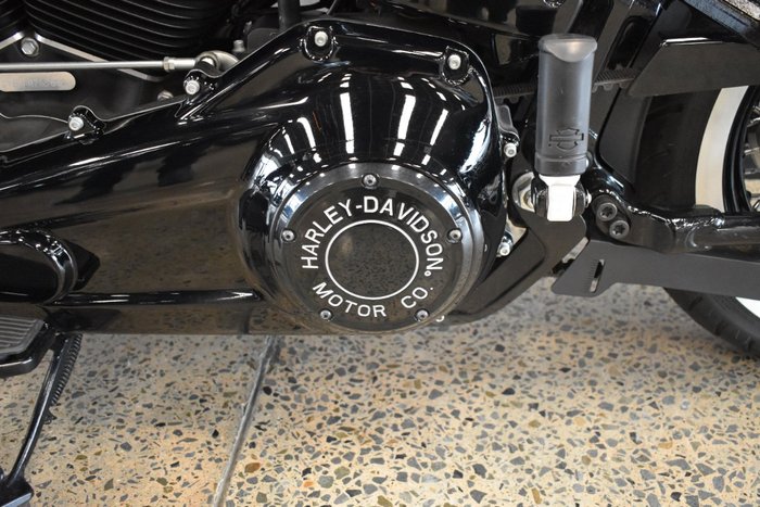 2020 HARLEY-DAVIDSON FLSL SOFTAIL SLIM (107)