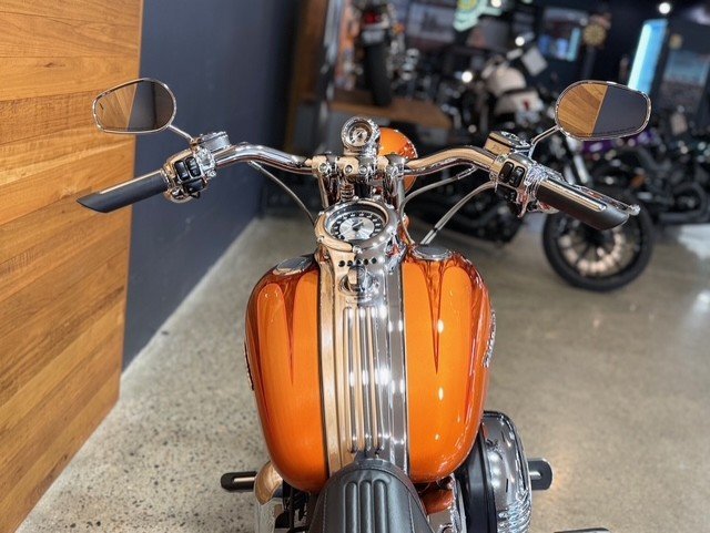 2008 HARLEY-DAVIDSON FXSTSSE S/EAGLE SPRINGER