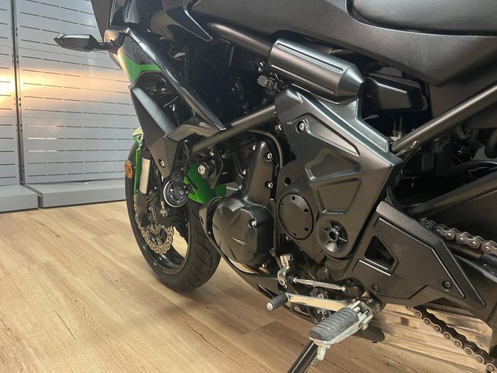 2020 Kawasaki VERSYS (KLE650) Green