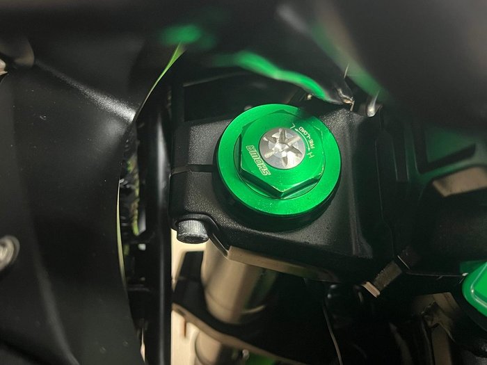 2020 Kawasaki VERSYS (KLE650) Green