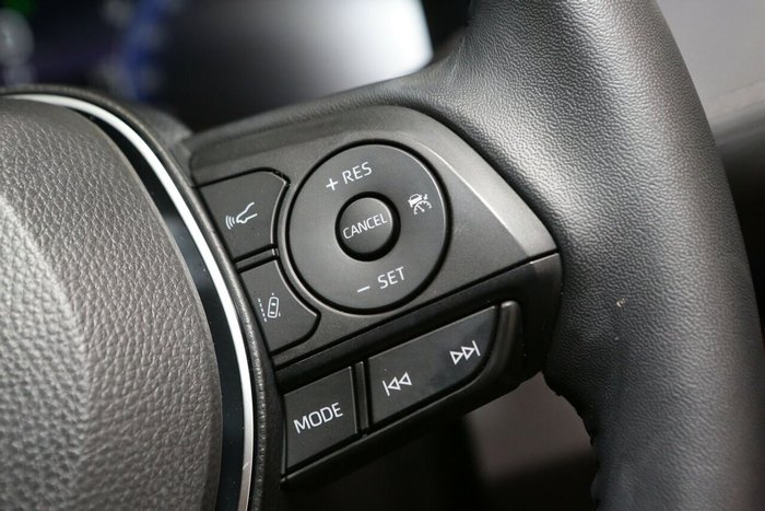 2025 Toyota RAV4 Cruiser