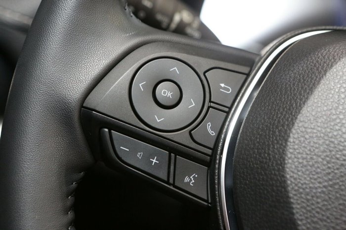 2025 Toyota RAV4 Cruiser