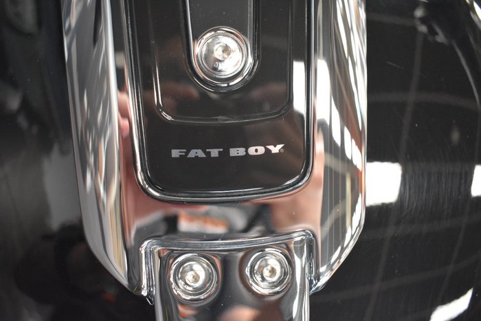 2022 HARLEY-DAVIDSON FLFBS FAT BOY S (114)