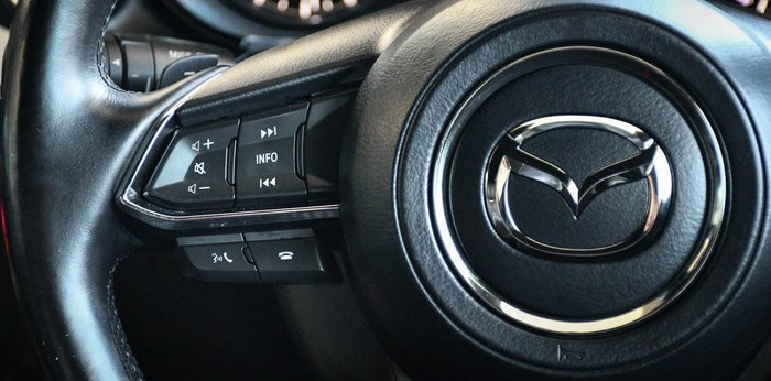 2020 Mazda CX-9 Azami LE
