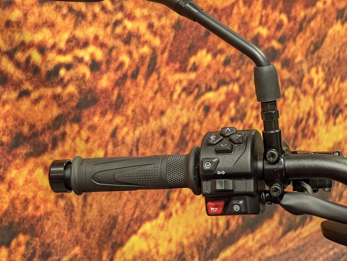 2026 Triumph Trident 800 Trident Red