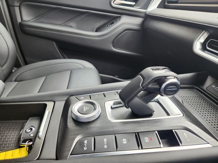 2025 GWM Cannon Vanta