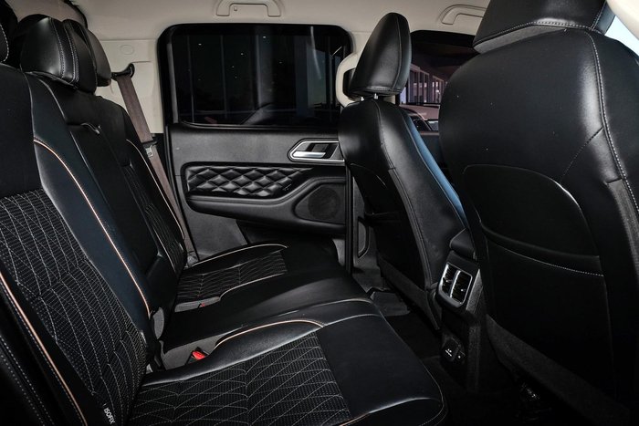 2021 GWM Ute Cannon-X