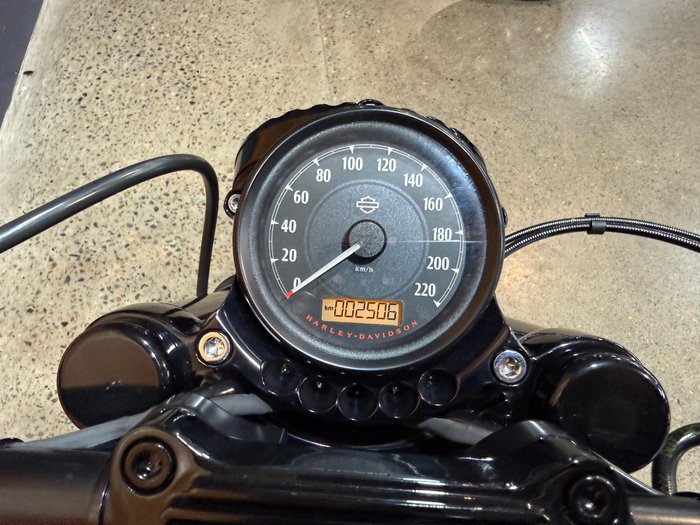 2019 HARLEY-DAVIDSON XL883N IRON 883