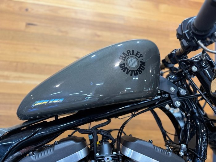 2019 HARLEY-DAVIDSON XL883N IRON 883