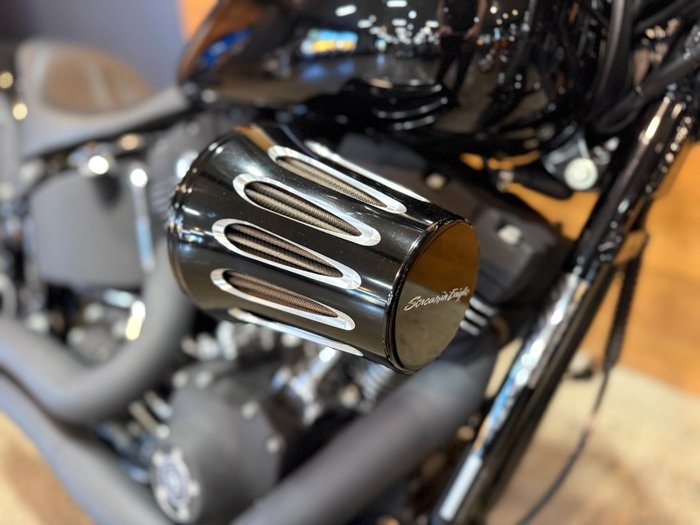 2008 HARLEY-DAVIDSON FXSTB NIGHT TRAIN