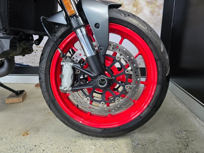 2022 DUCATI MONSTER Grey