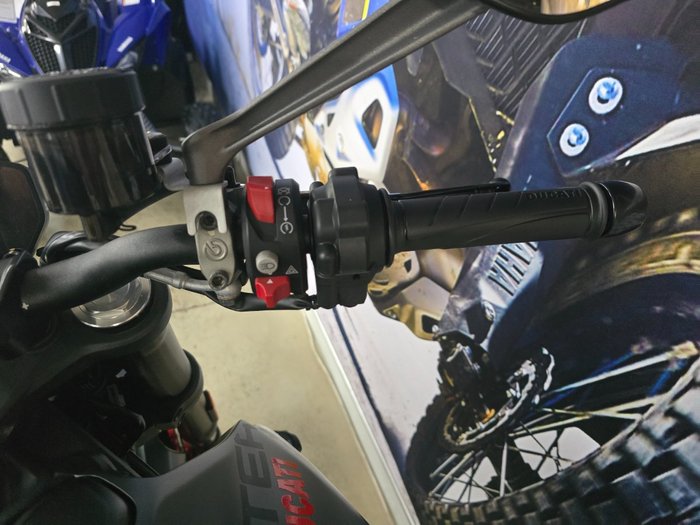 2022 DUCATI MONSTER Grey