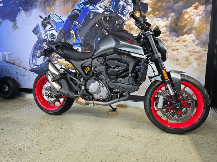 2022 DUCATI MONSTER Grey