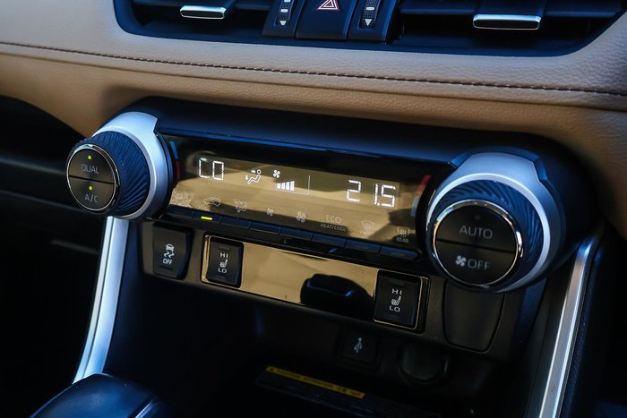 2020 Toyota RAV4 Cruiser