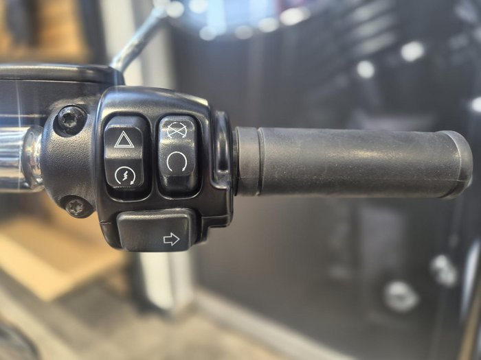 2023 Harley-Davidson Fat Boy 114 (FLFBS) Softail Black