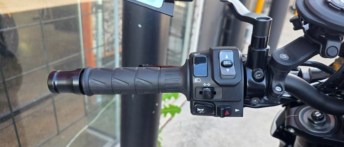 2022 Kawasaki Z900 SUPERNAKED (ZR900) SILVER