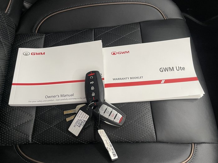 2024 GWM Ute Cannon-X