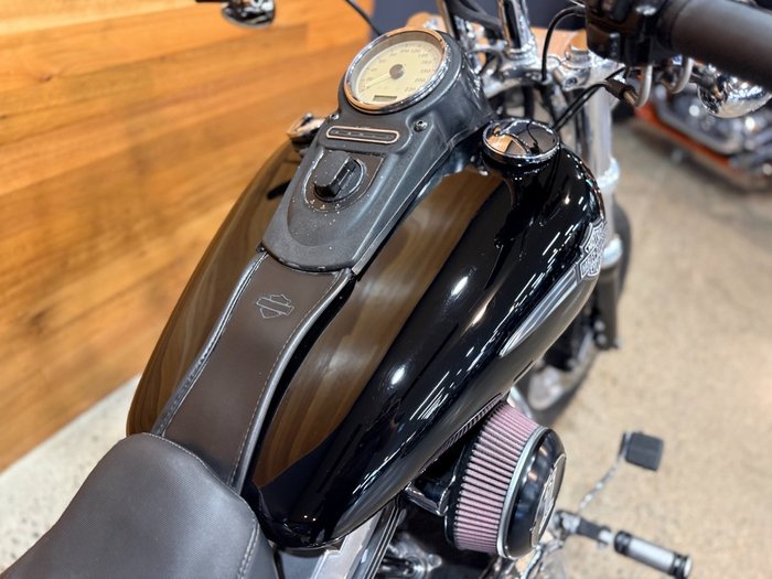 2007 HARLEY-DAVIDSON FXDF FAT BOB