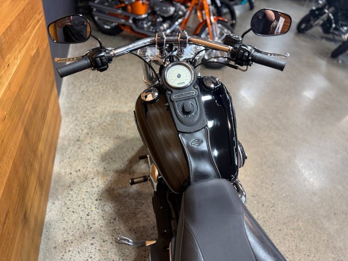 2007 HARLEY-DAVIDSON FXDF FAT BOB