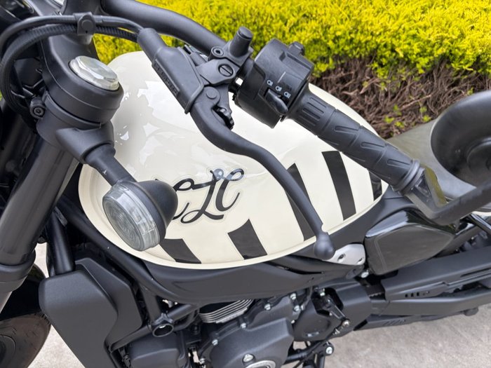 2025 CFMOTO 450 CL-C WHITE/GREEN