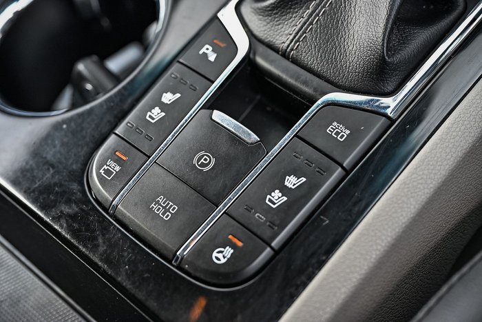 2019 Kia Carnival Platinum