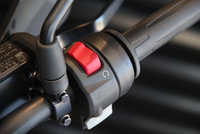 2025 BMW G 310 GS G 310 White