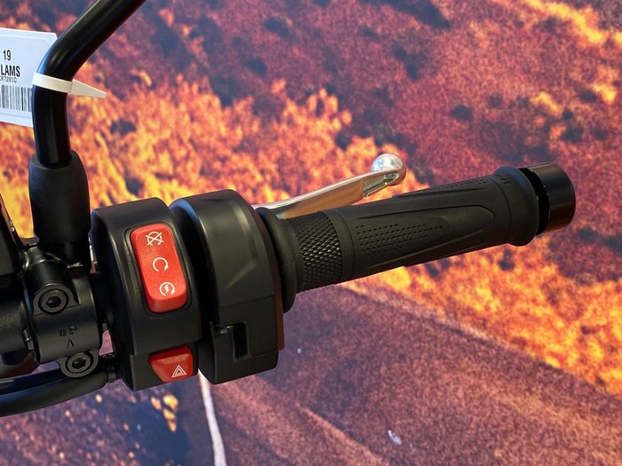 2026 Triumph Trident 660 Trident White