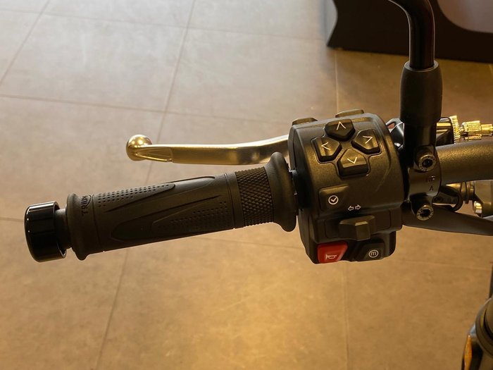 2026 Triumph Trident 660 Trident White