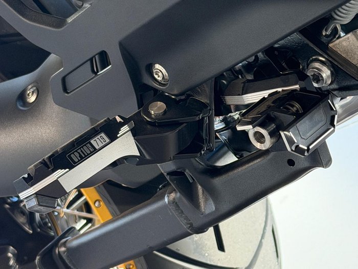 2025 BMW R 1300 GS Adventure Option 719 R 1300 Green