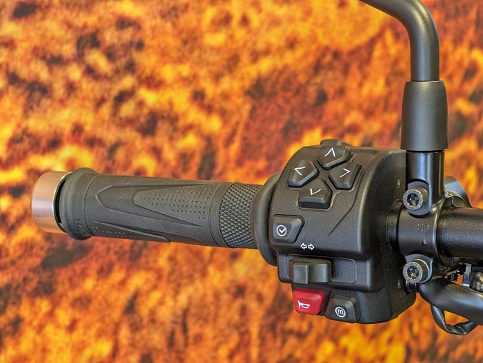 2026 Triumph Scrambler 900 Scrambler Grey