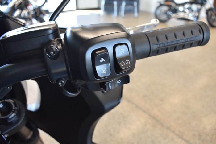 2025 HARLEY-DAVIDSON FXLRST LOW RIDER ST (117)