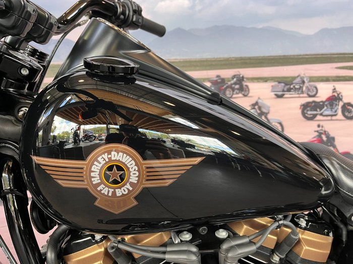 2020 HARLEY-DAVIDSON FLFBSANV FAT BOY 114 30TH ANNI