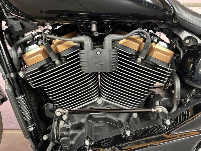 2020 HARLEY-DAVIDSON FLFBSANV FAT BOY 114 30TH ANNI