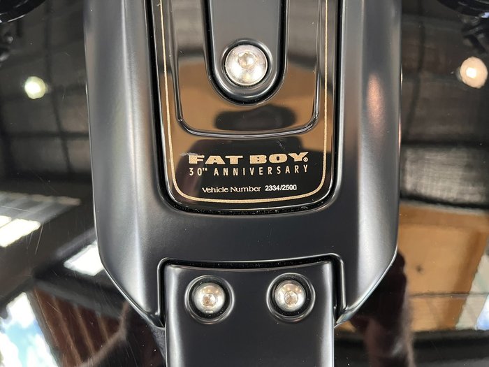 2020 HARLEY-DAVIDSON FLFBSANV FAT BOY 114 30TH ANNI