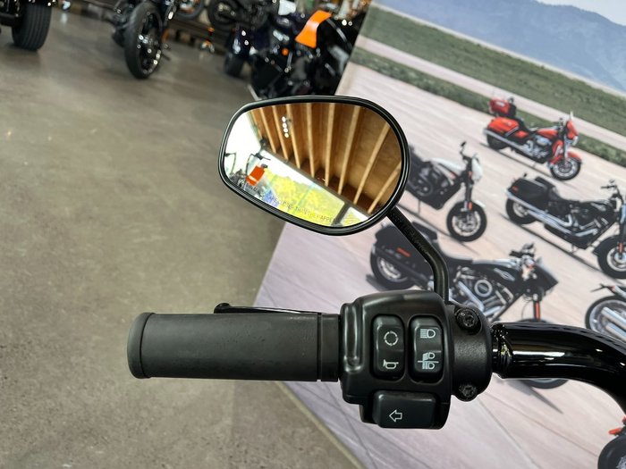 2020 HARLEY-DAVIDSON FLFBSANV FAT BOY 114 30TH ANNI