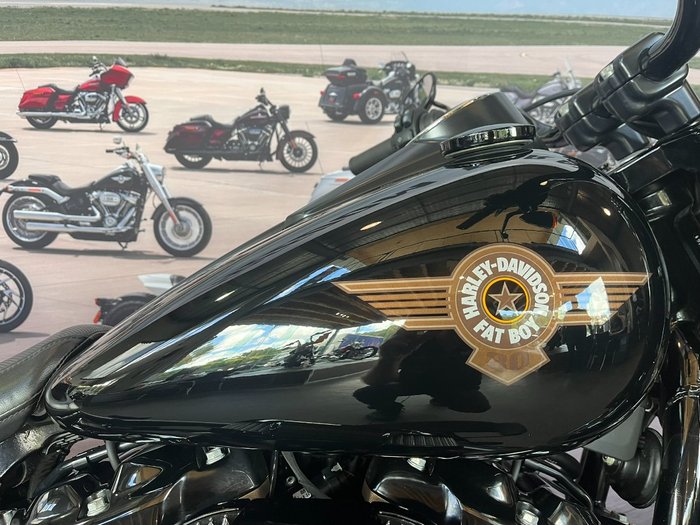 2020 HARLEY-DAVIDSON FLFBSANV FAT BOY 114 30TH ANNI