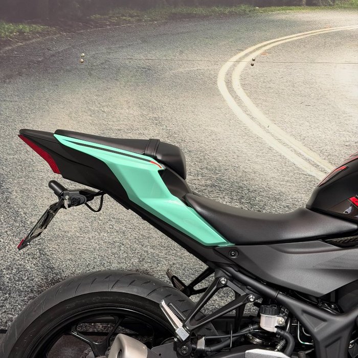 2025 Yamaha YZF-R3 Green