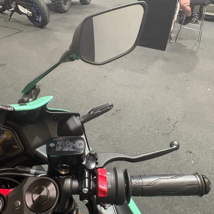 2025 Yamaha YZF-R3 Green