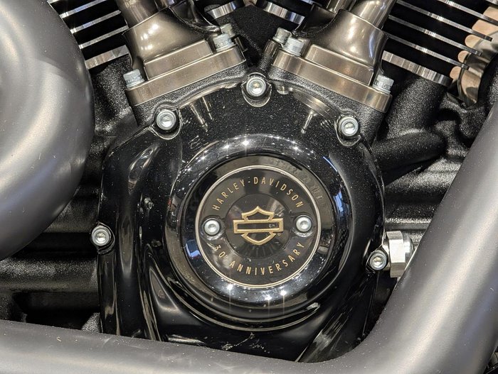 2020 Harley-Davidson Fat Boy 114 Anniversary (FLFBSANV) Softail Black