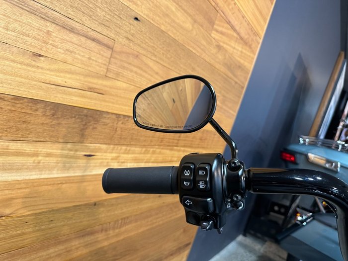 2025 HARLEY-DAVIDSON FLHRXS ROAD KING SPECIAL