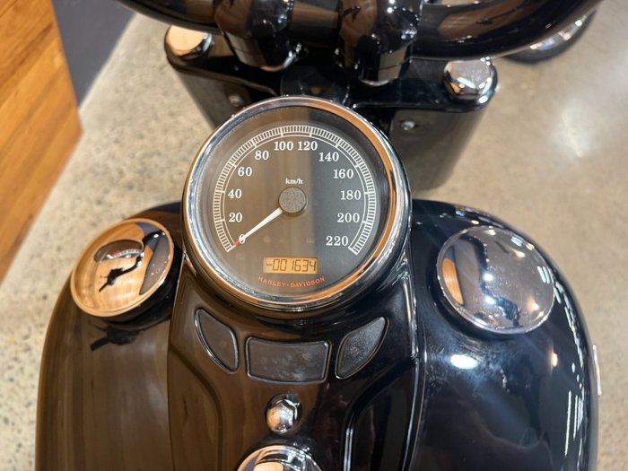 2016 HARLEY-DAVIDSON FLSS SOFTAIL SLIM S