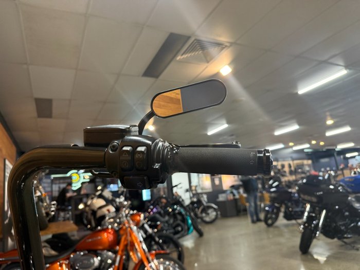 2016 HARLEY-DAVIDSON FLSS SOFTAIL SLIM S