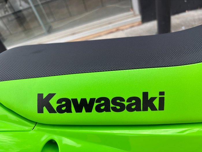 2026 Kawasaki 2026 Kawasaki 110CC KLX110CTFNN GREEN