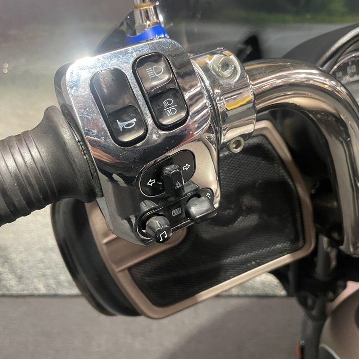 2019 Indian CHIEFTAIN LIMITED Brown