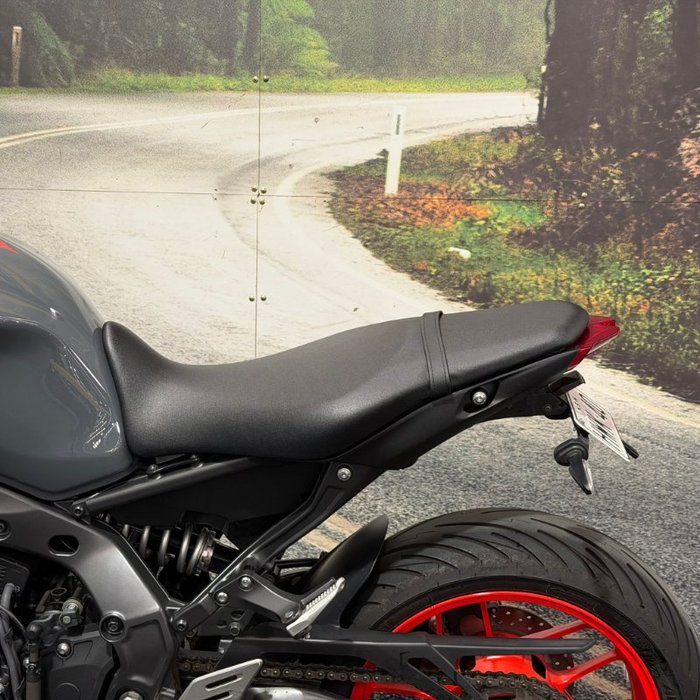 2020 Yamaha MT-09A Grey