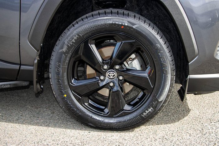 2020 Toyota RAV4 Cruiser