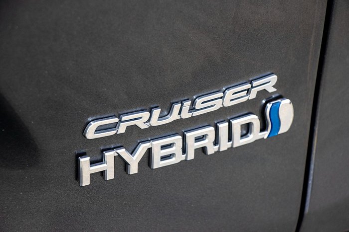 2020 Toyota RAV4 Cruiser
